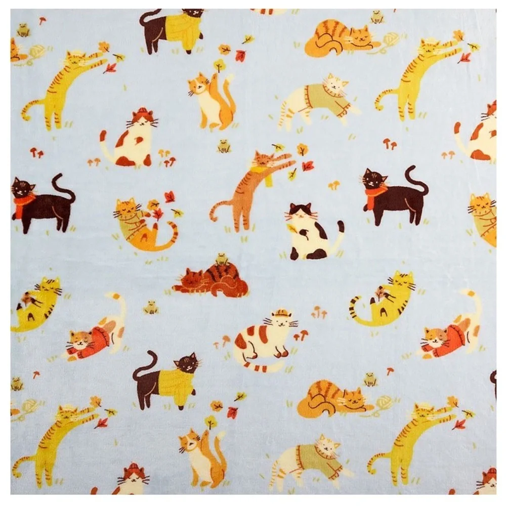 🆕 The Big One Oversized Throw Blanket Playful Kittens Super Soft Plush 60”x72”
